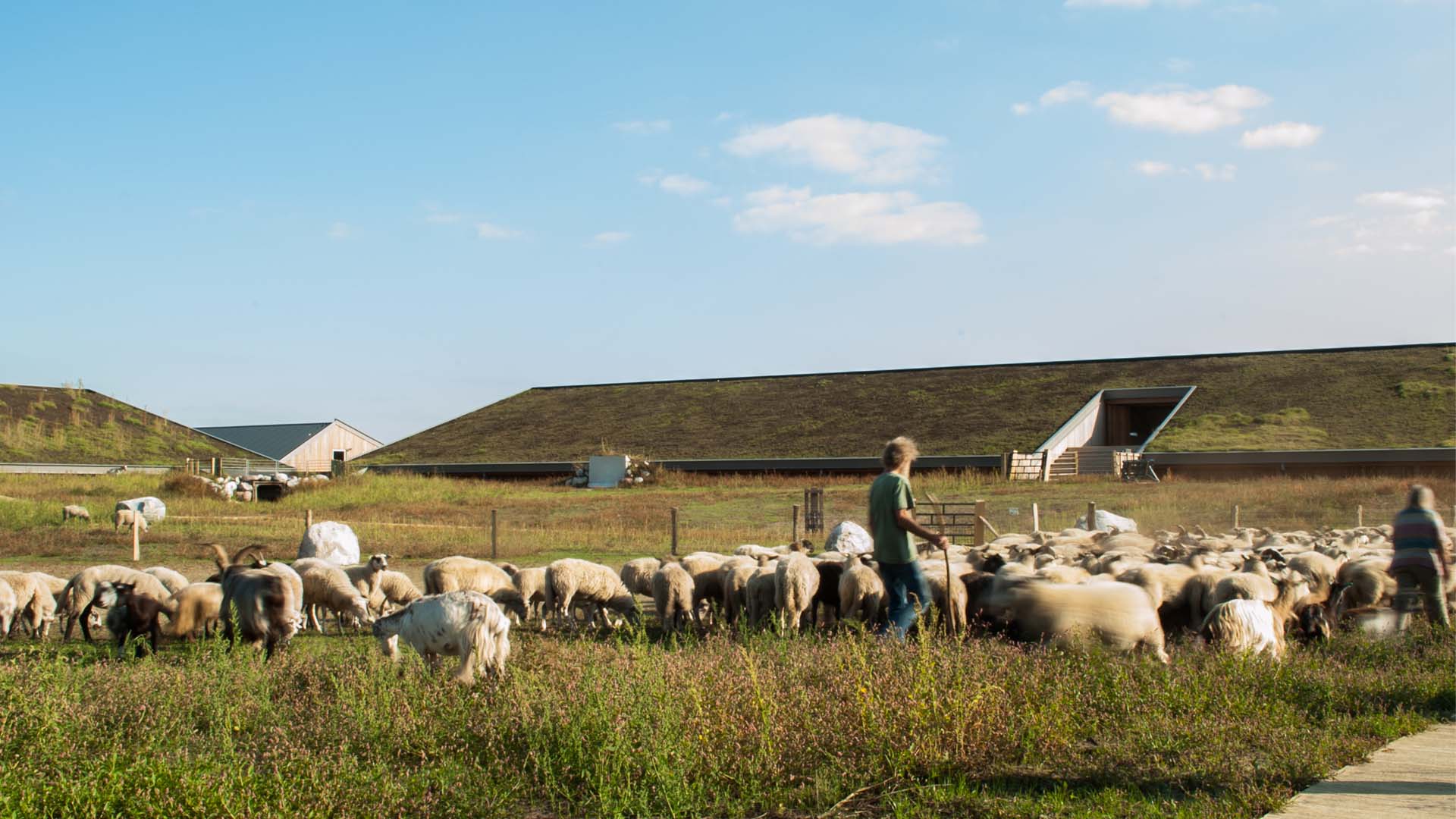 Schaapskooi te Bargerveen