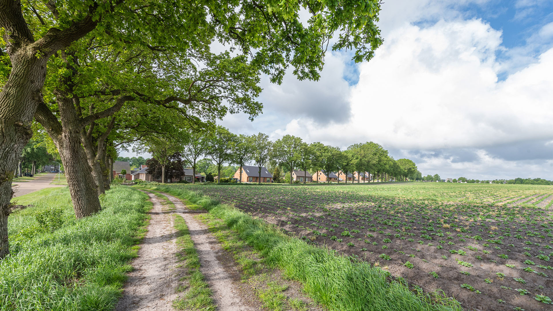 DAAD Architecten | Ecologische corporatiewoningen | Exloo 6