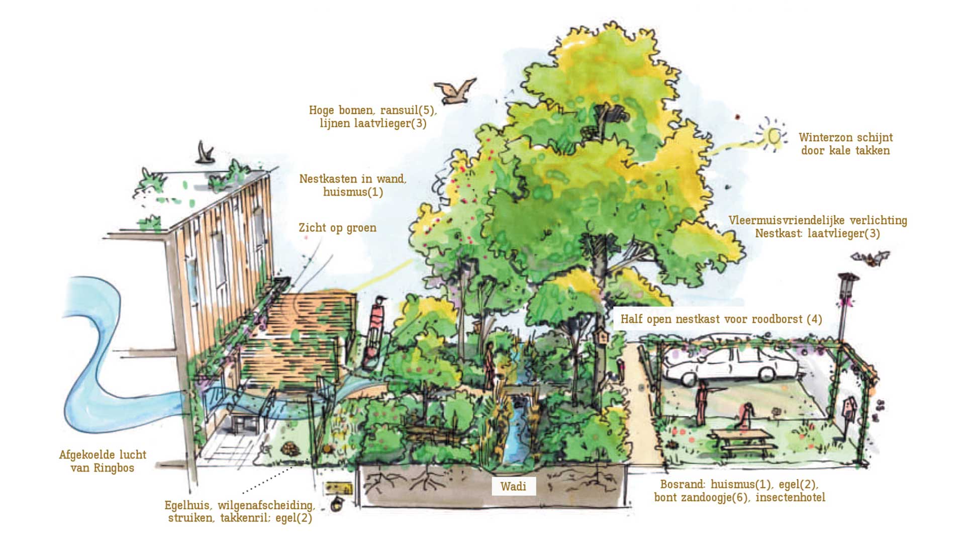 Ringbosk geselecteerd voor biobased bouwerscompetitie