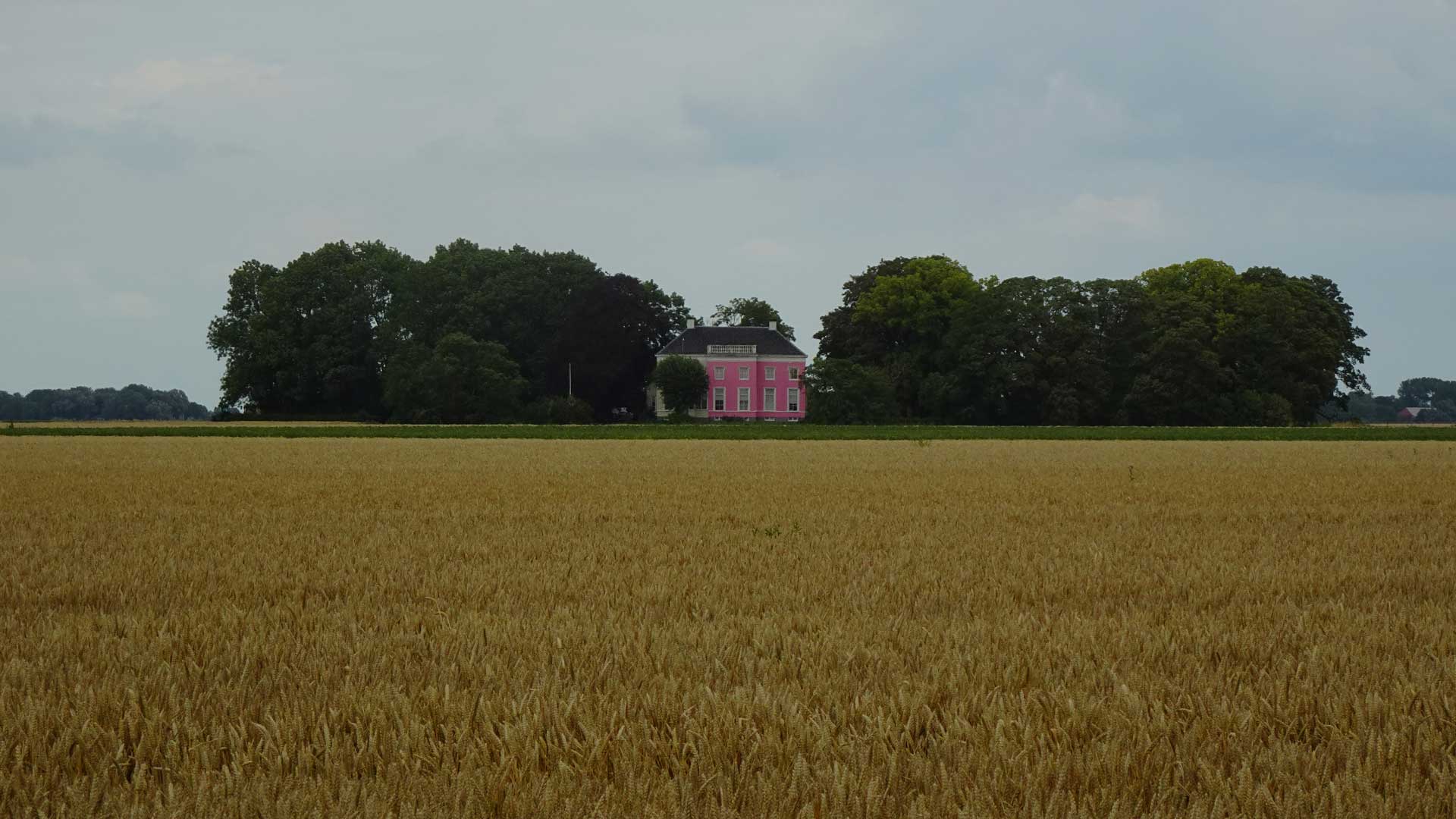 Subsidie verleend voor roze boerderij