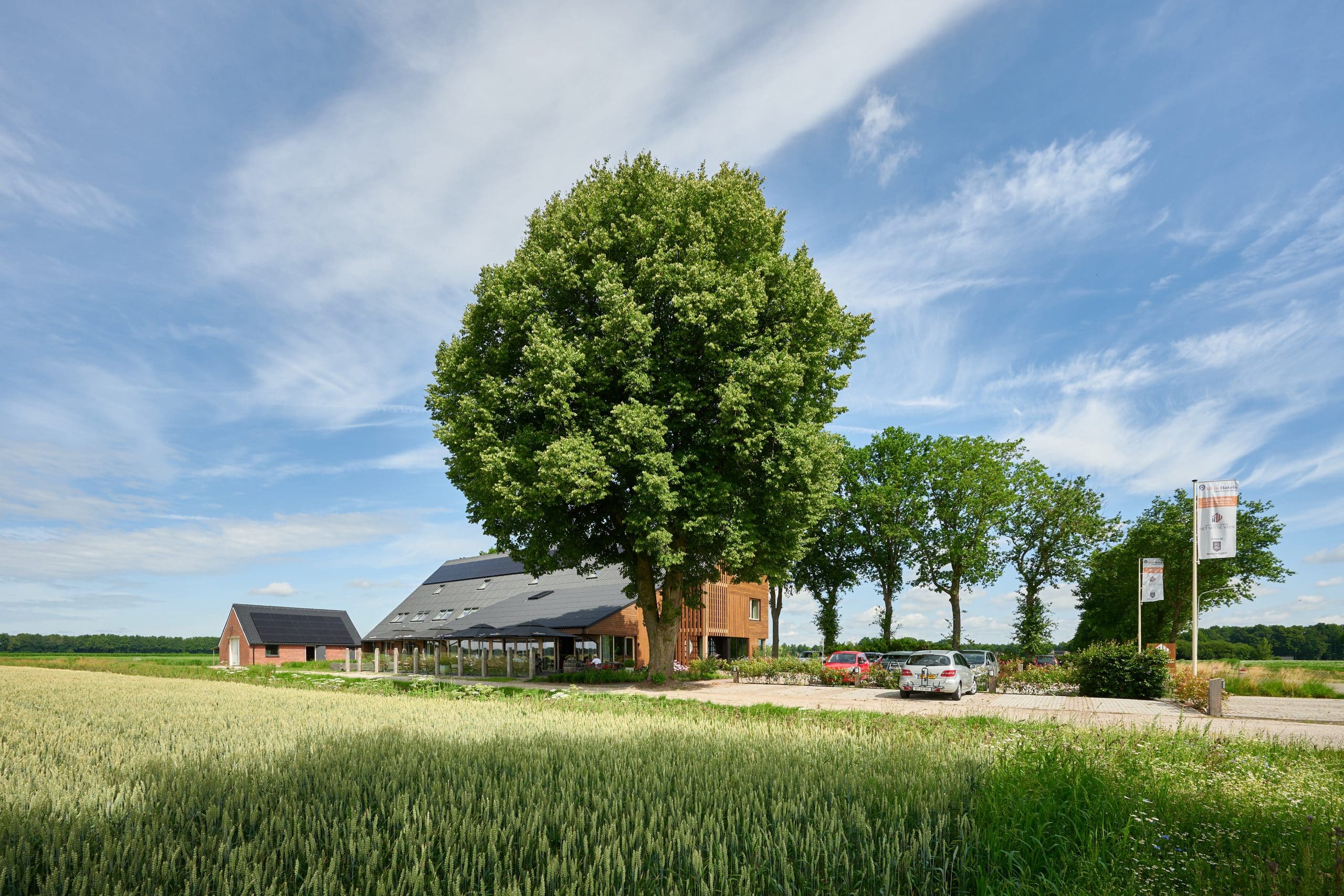 DAAD_witteveen_juli25_012- Ronald Zijlstra