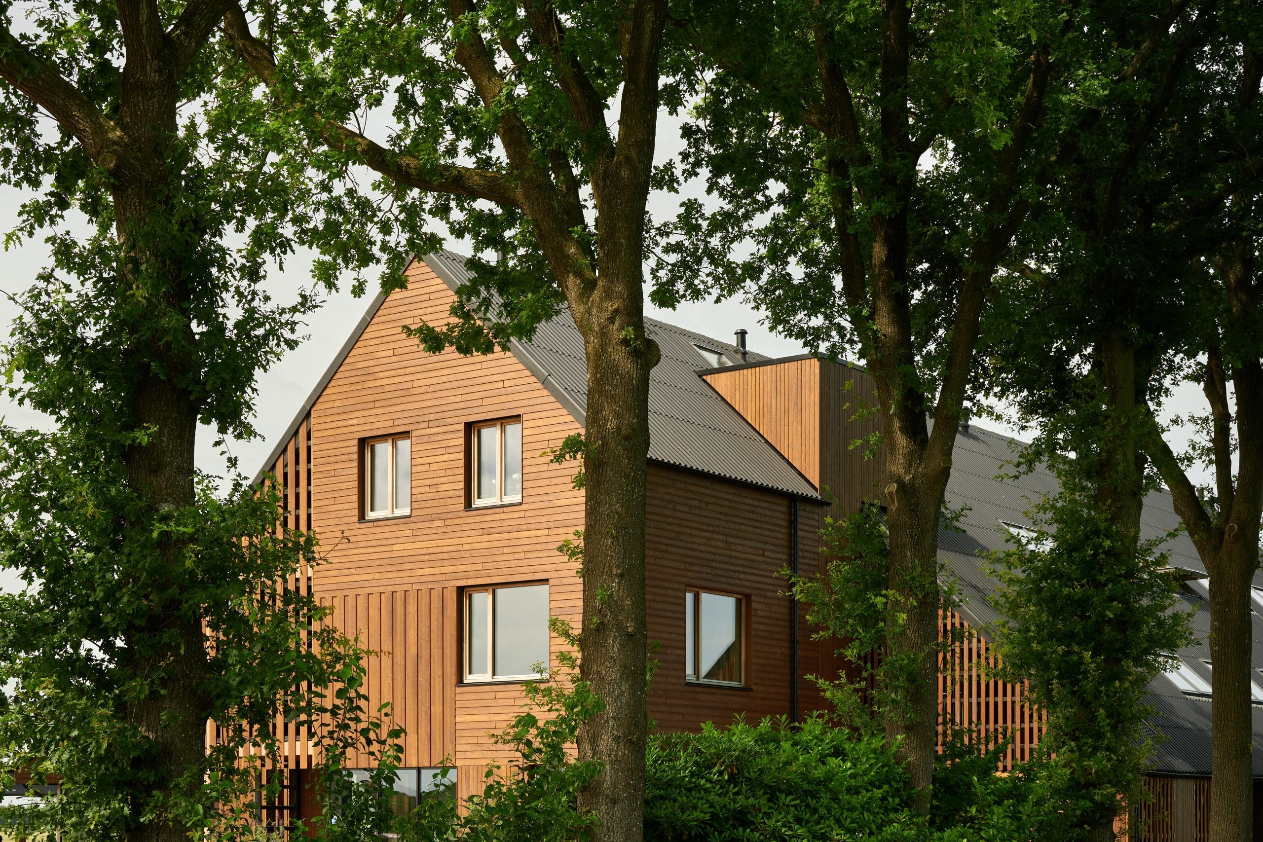 DAAD_witteveen_juli25_018- Ronald Zijlstra