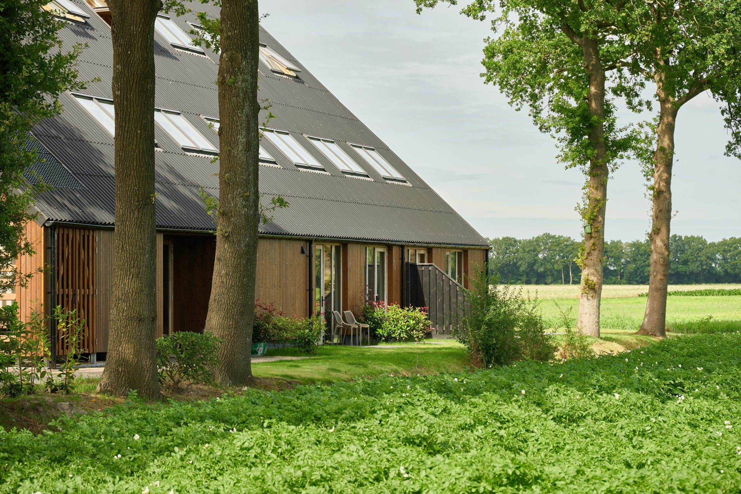 DAAD_witteveen_juli25_019- Ronald Zijlstra